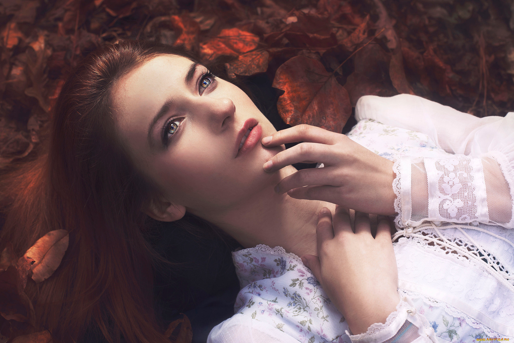 , -unsort , ,  , , , , autumnial, light, 